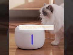 Dispensador de agua para mascotas en interiores de bronce de resina 213×213×145mm 5V DC