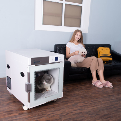 El perro automático que seca las iones negativo de la caja quita con eficacia bacterias para ablandar el pelo