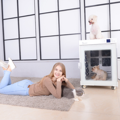 Máquina inteligente del secador de pelo del animal doméstico del control de la pantalla del sitio de sequedad del ANIMAL DOMÉSTICO 220V 2700W Smart