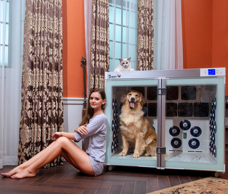 ventiladores más secos de la jaula 6 del animal doméstico de 220V 2500W de poco ruido para la preparación del perro